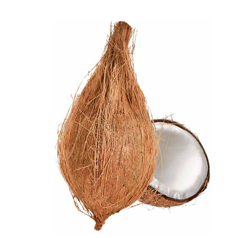 Pooja Coconut
