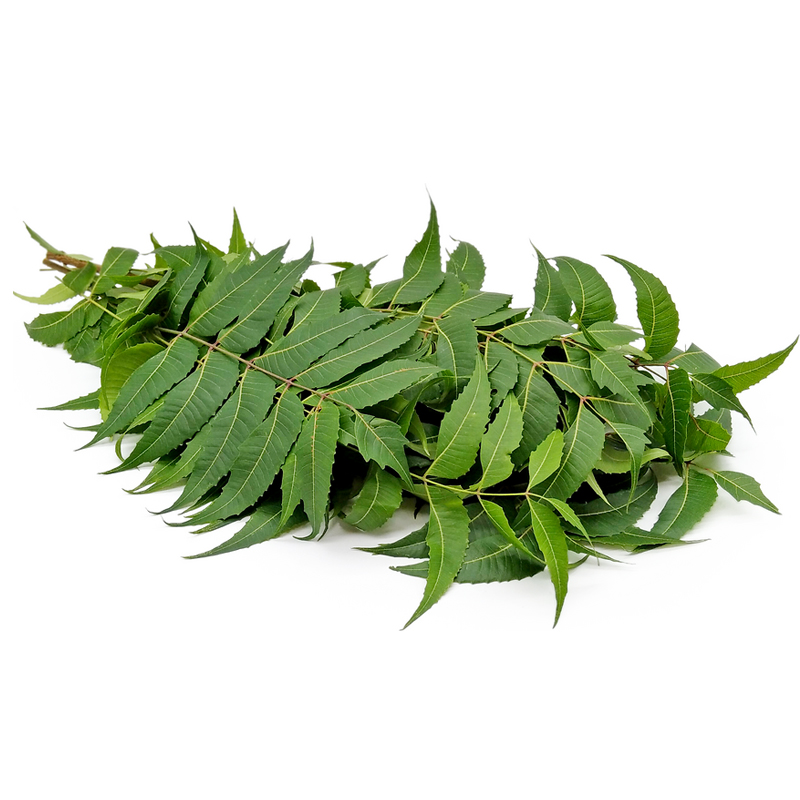 Neem (Veppilai) Leaves