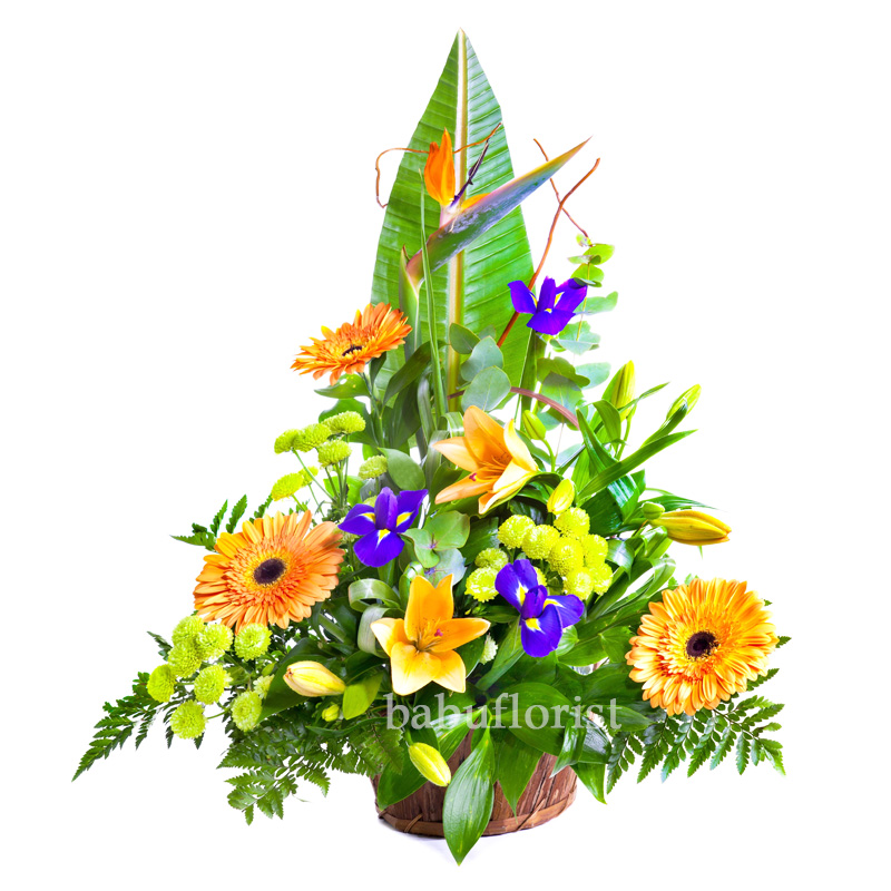 Bright Flower Bouquet In Basket IsolateI