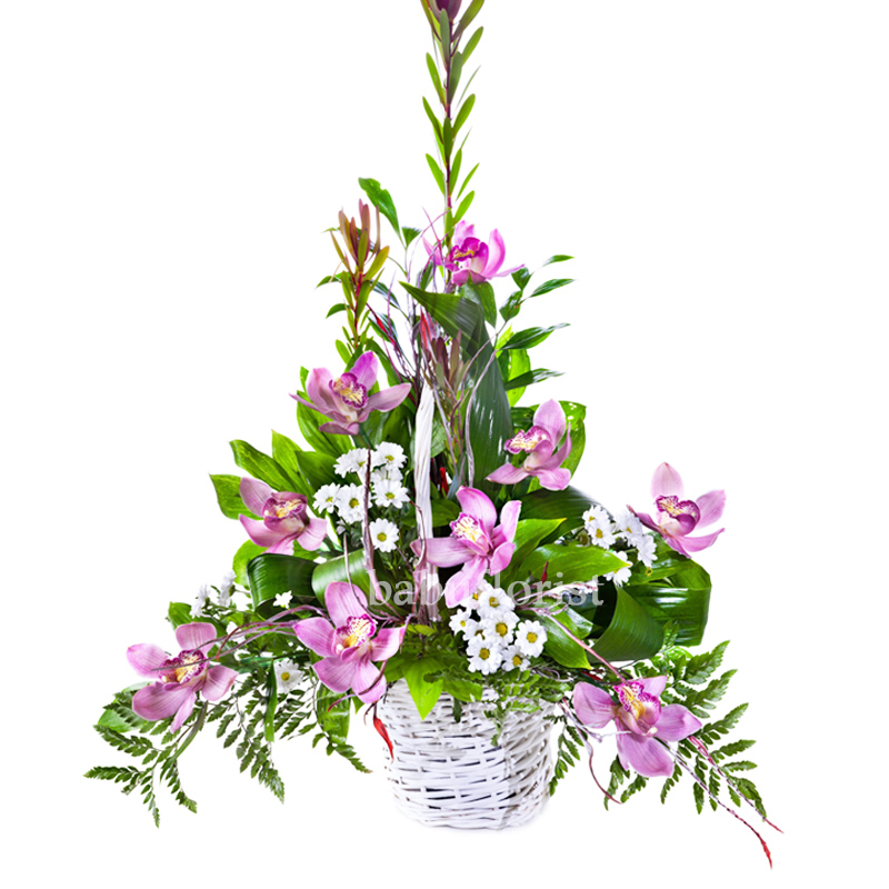Bright Flower Bouquet In Basket Isolated-3