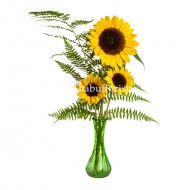  Ferns And Sunflowers