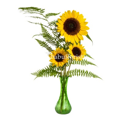  Ferns And Sunflowers
